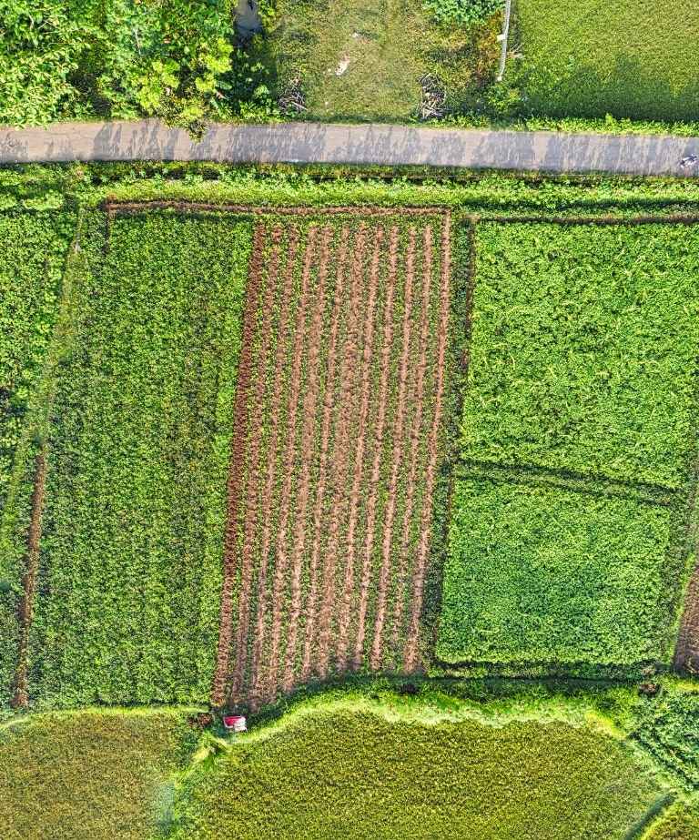 Applying specialized soil solutions at key crop growth stages in the field