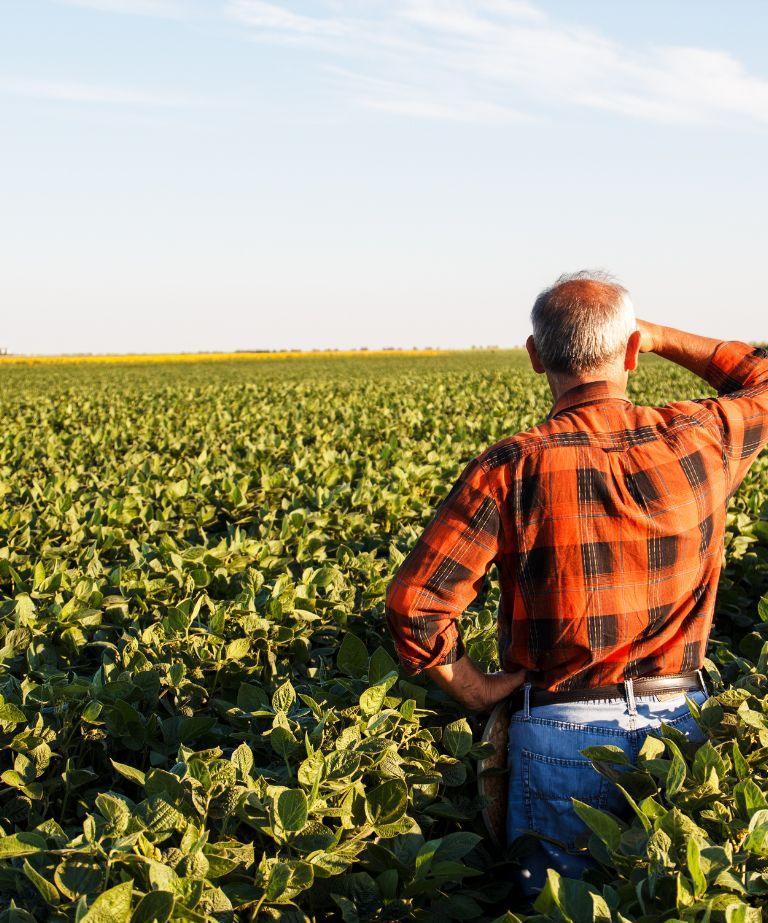 agtek360-precision-agriculture-field-performance