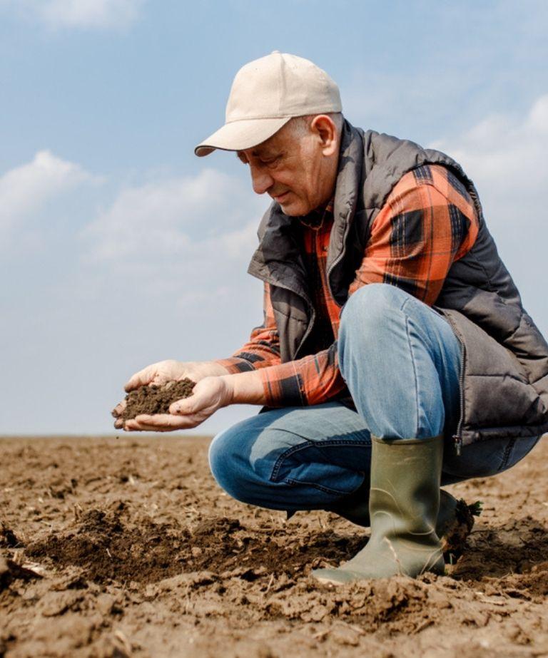 Grower inspecting soil